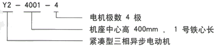 YR系列(H355-1000)高压YKS5005-10三相异步电机西安西玛电机型号说明